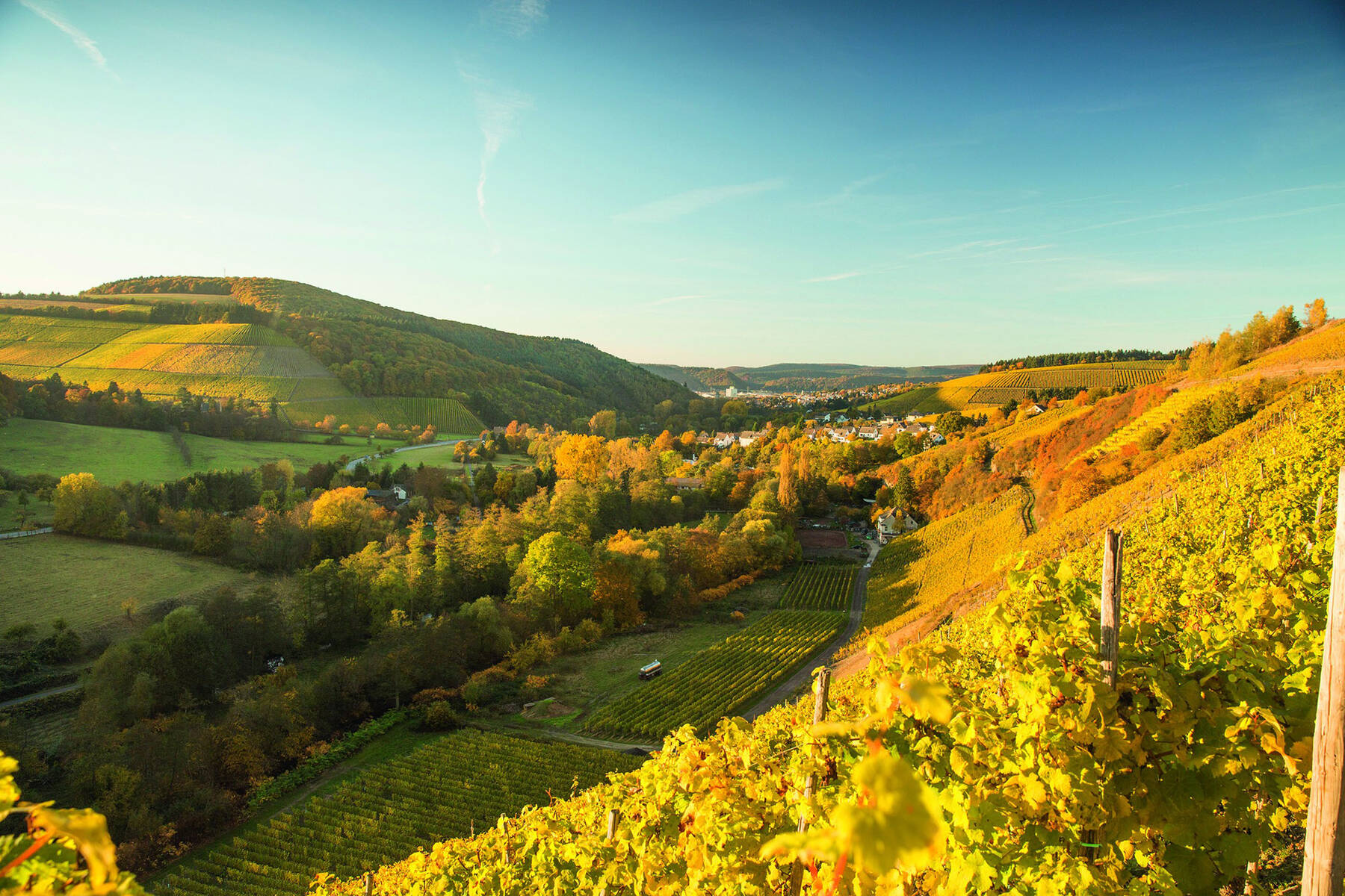 Wandern bei Trier an der Mosel – Wanderurlaub im 4-Sterne Aktvhotel Weis
